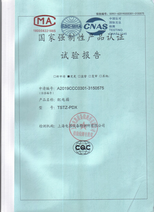 低压试验报告